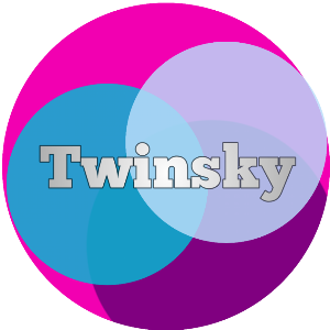 TwinskyNet